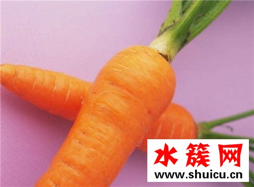 春季养生必吃十种食物