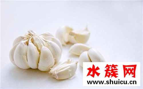 春季养生必吃十种食物