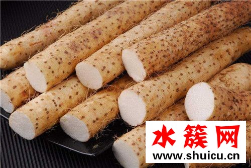 春季养生必吃十种食物