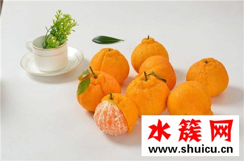 春季养生必吃十种食物