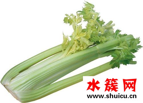 春季养生必吃十种食物