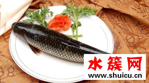 高考吃什么增加记忆力？