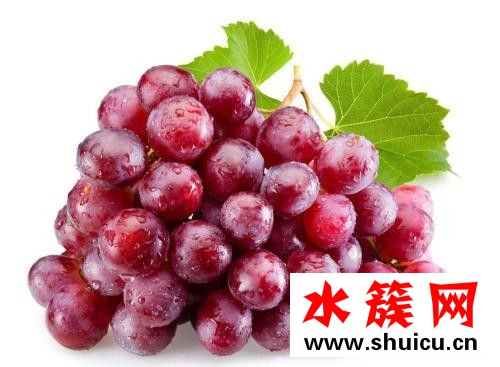 1、<u>红枣</u>