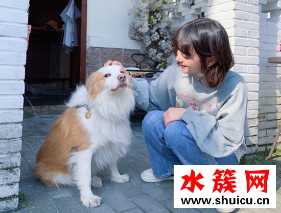 2019秋冬短发范本推荐