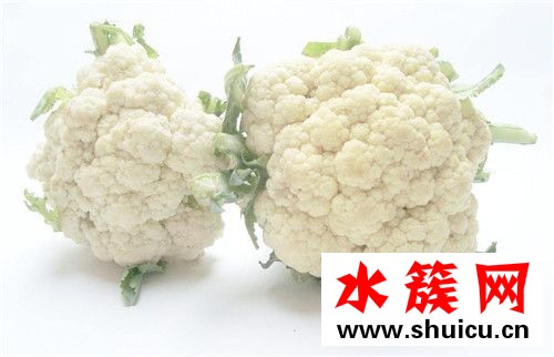 水肿怎么减肥最有效