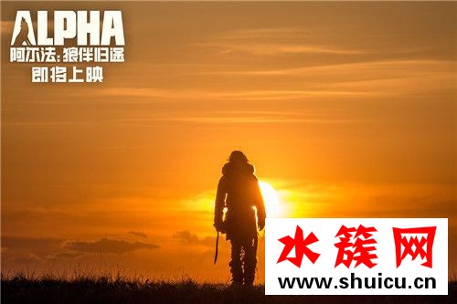 阿尔法：狼伴归途什么时候上映