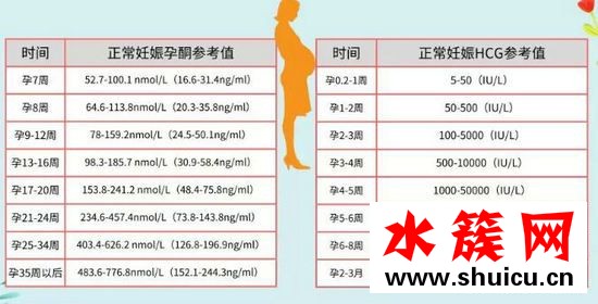 hcg低吃什么补得快