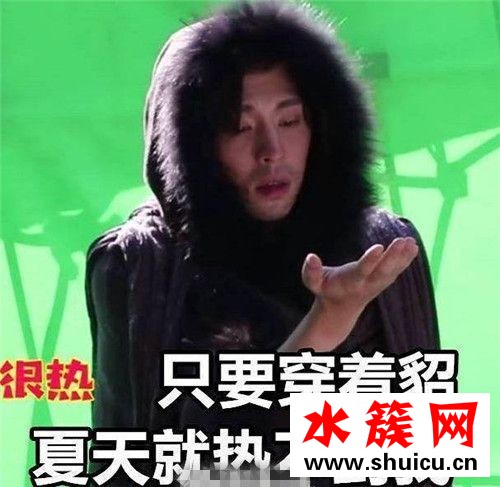 貂哥寻妻是什么梗