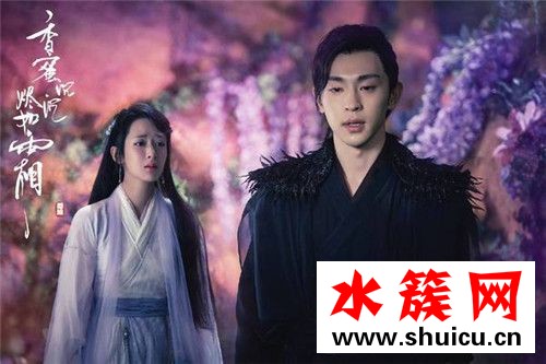 貂哥寻妻是什么梗