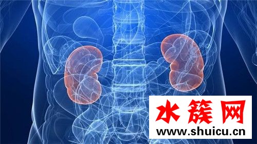 8个信号说明肾脏病了