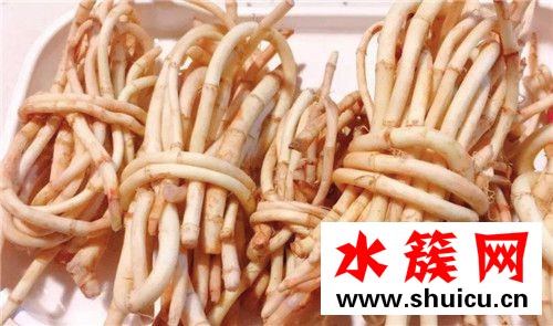 折耳根是不是发物