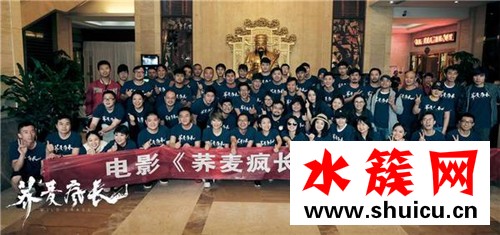 荞麦疯长什么时候上映