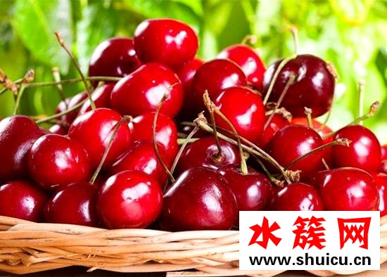 缓解痛经最有效的食物排行榜