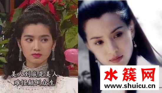 洪欣年轻时照片