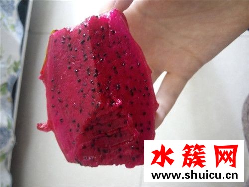 红心火龙果不能和什么一起吃