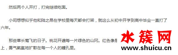 夏至未至小说详细内容简介
