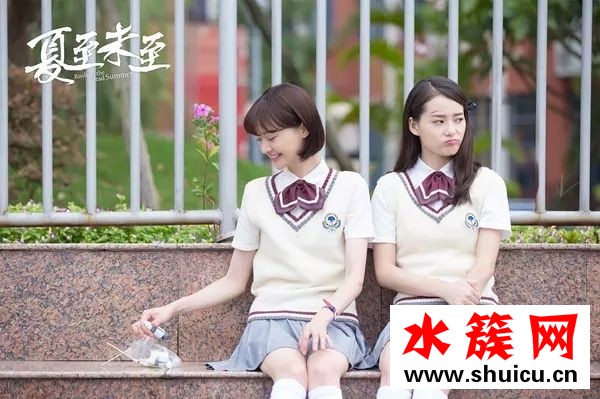 夏至未至小说详细内容简介