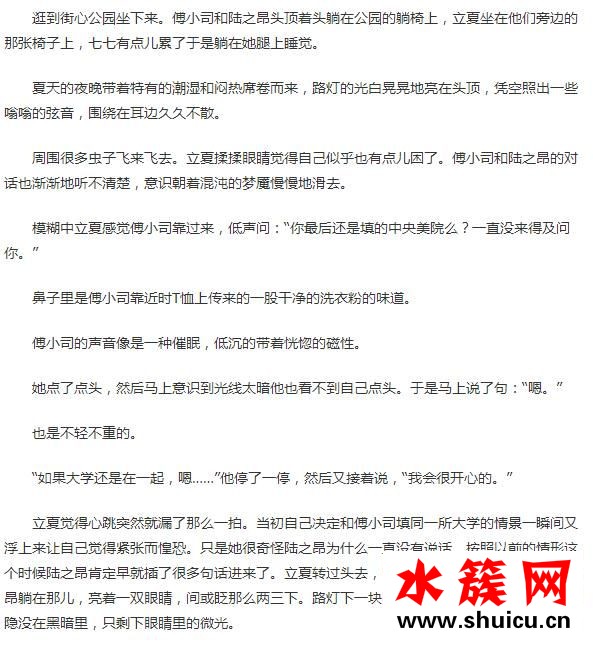 夏至未至小说详细内容简介
