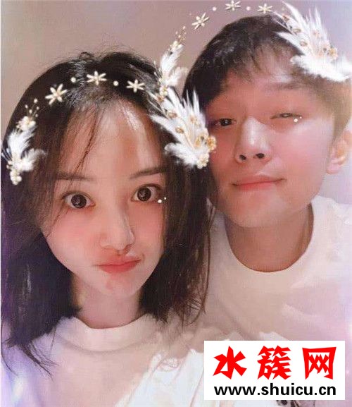 张恒郑爽结婚计划是什么
