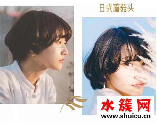 2019秋冬最流行的短发发型图片