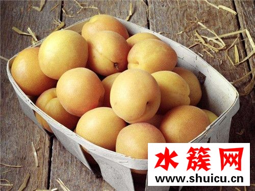 杏子没熟能吃吗