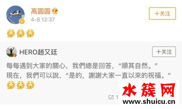 高圆圆怀孕几个月了