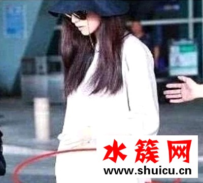 高圆圆怀孕几个月了