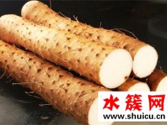 春季养生宜吃什么 春季养生必吃十种食物
