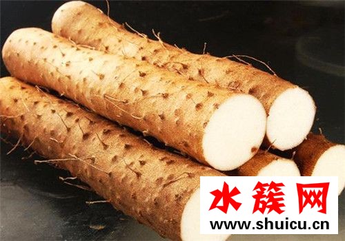 春季养生必吃十种食物