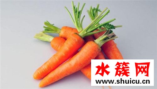 春季养生必吃十种食物