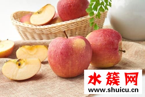 春季养生必吃十种食物