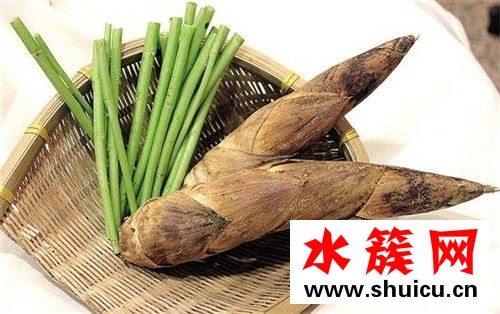 春季养生必吃十种食物