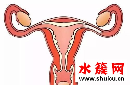 卵巢癌是什么原因引起的