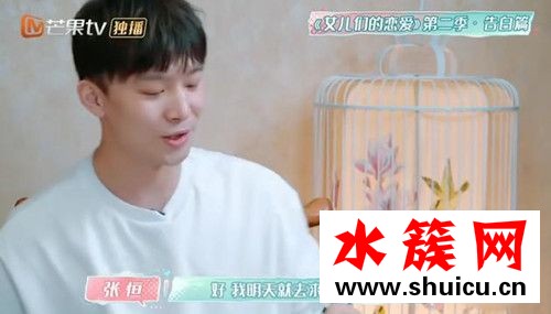 张恒郑爽结婚计划