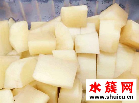 雪莲果糖尿病人能吃吗