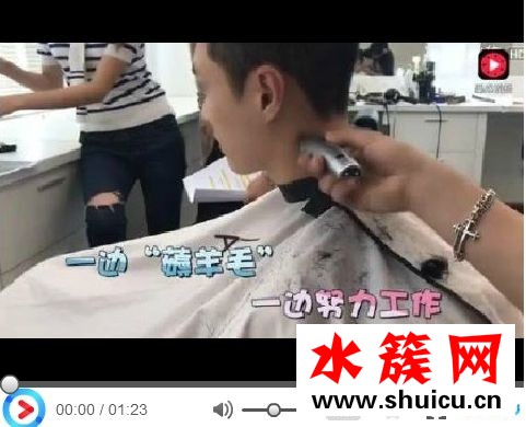 张艺兴薅羊毛是什么意思