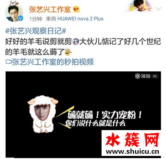 张艺兴薅羊毛是什么意思