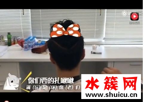 张艺兴薅羊毛是什么意思