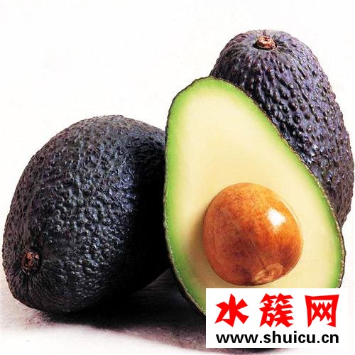 牛油果一年四季都有吗