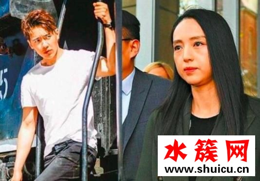 高云翔董璇被起诉是怎么回事