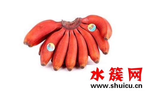 红香蕉和黄香蕉有什么区别