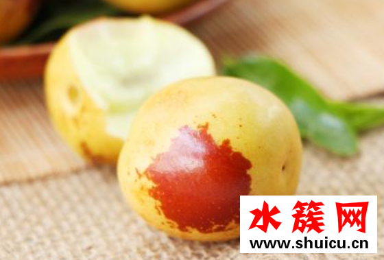 冬枣是凉性还是温性