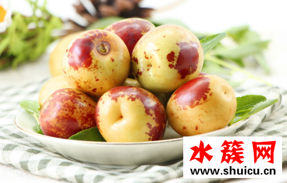 冬枣什么时候成熟