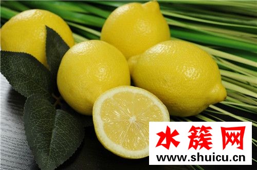 生吃柠檬可以丰胸吗