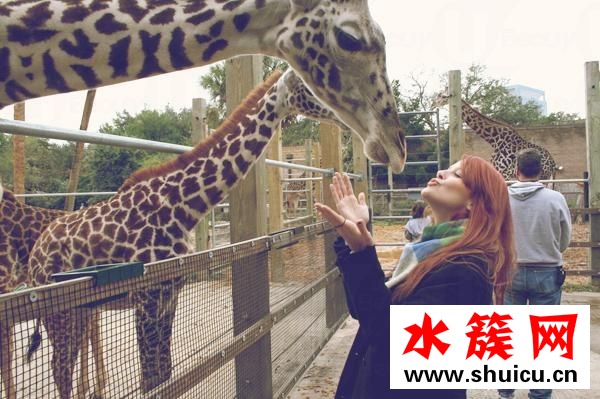 击退婴儿肥和双下巴 7步瘦出精致小V脸