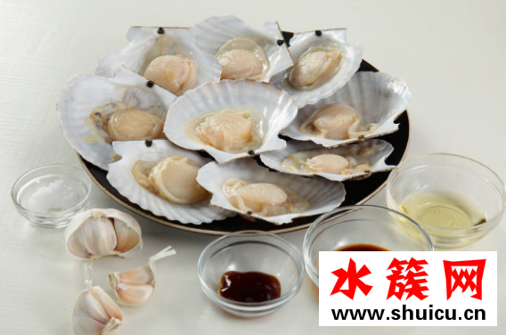 扇贝怎么清洗