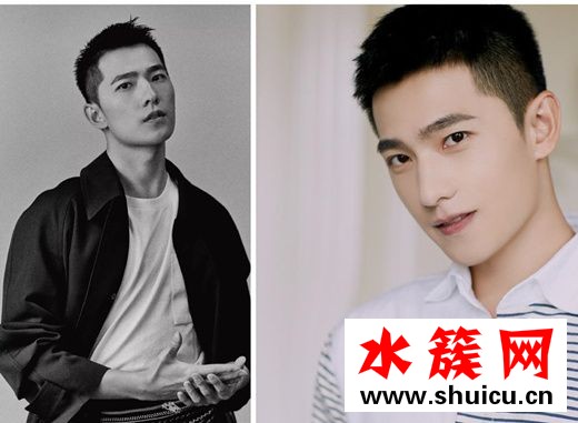 2019杨洋寸头照片