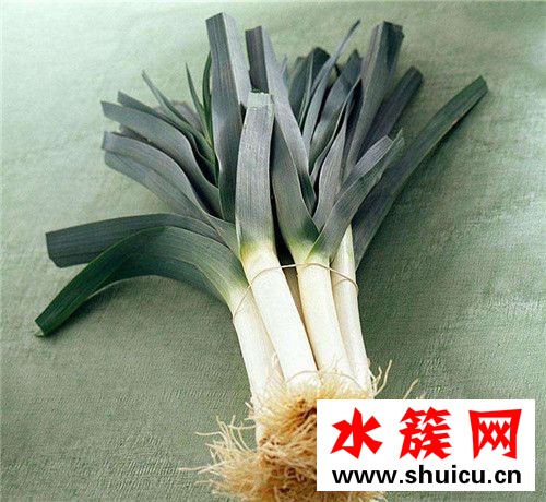 韭葱是什么