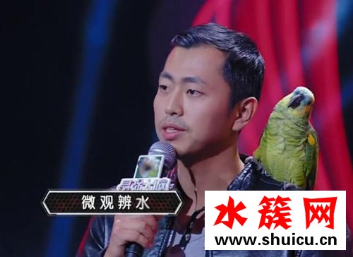 最前大脑水哥是哪一季