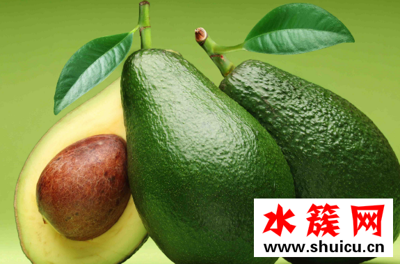 牛油果怎么吃丰胸